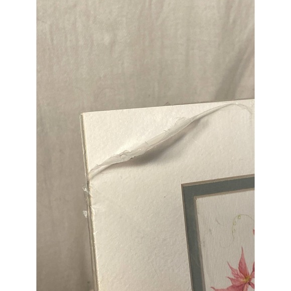 Signed Watercolor Print “Bermuda Poinsettia and Coralita” by Carole Holding - Picture 5 of 12